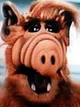 Alf Show Alf