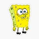 Spongebob Nopants