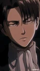 Levi Ackerman 