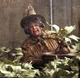 Professor sprout