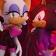 Shadow and Rouge