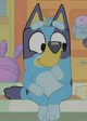 bluey