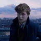 Newt Scamander