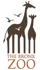 Bronx zoo 