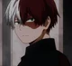 Shoto Todoroki 