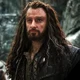 Thorin Oakenshield