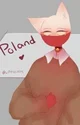 Neko Poland 