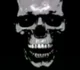 skullissue 