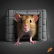 Rats RPG