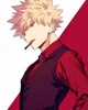 Bakugo 