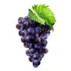 Grapes