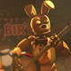 Spring Bonnie