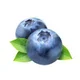 Blueberry