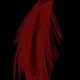 the darken