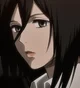 Mikasa Ackerman 