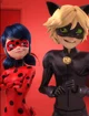 Ladybug and Cat noir