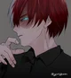 Villan shoto