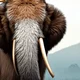 Wooly Mammoth