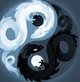 Ying Yang Dragons