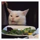 Salad cat 
