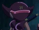 Amy -Ninja-