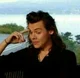 Harry Styles 