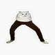 Cat Pants