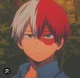 Shoto Todoroki 
