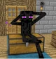MS Enderman