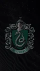 Slytherin grupo 