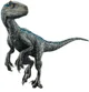 Velociraptor