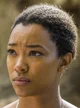 Sasha Williams