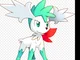 Shiny shaymin -fly