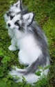 marble fox