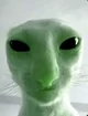 Alien cat