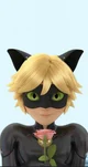 Cat noir