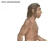 Neanderthal