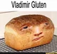 vladimir glutein
