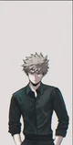 Bakugou Br