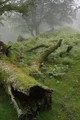 Magical Adventure