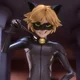 Cat Noir