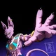 Lord Beerus