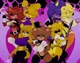 Fnaf Girls