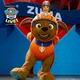 zuma from paw patrol