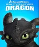Httyd rp