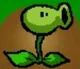 beta peashooter pvz 