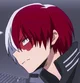 Shoto Todoroki