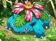 Venusaur Female