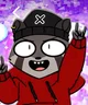 Rocky Rakoon