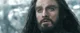 Thorin Oakenshield 